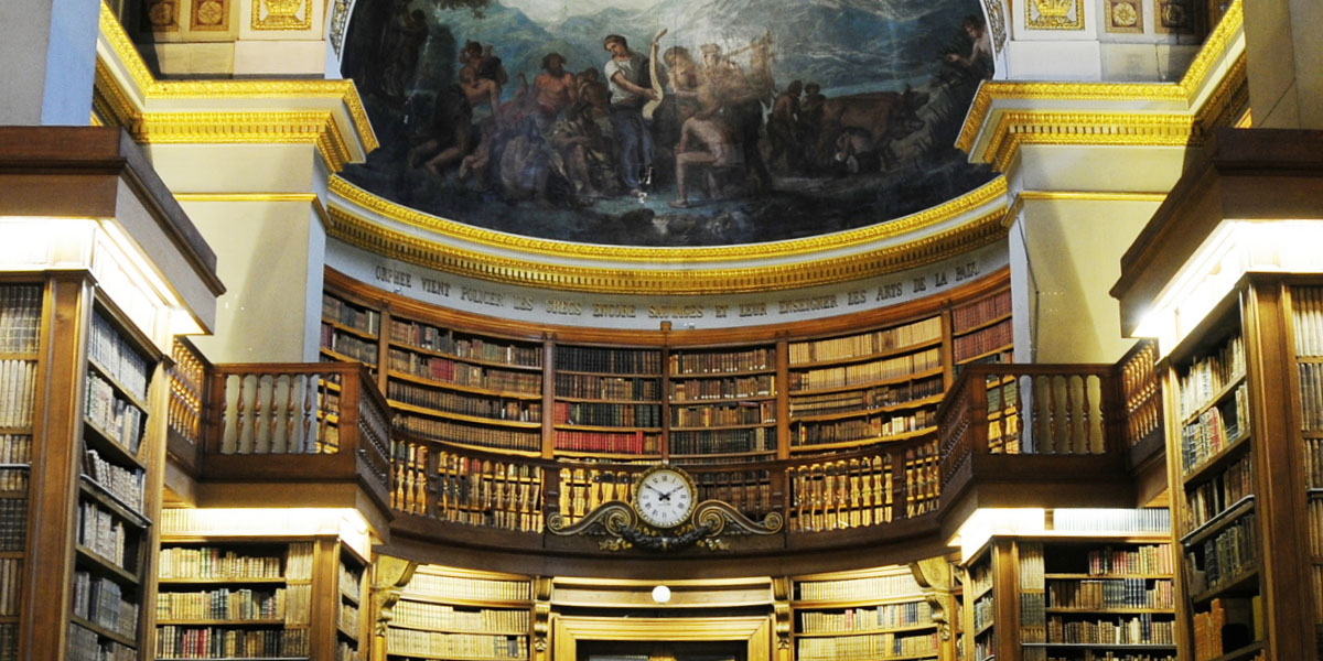 Museus e Bibliotecas